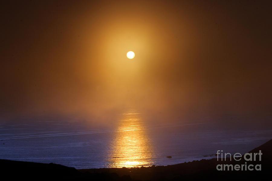 The Sun Glows Through the Coastal Northern California Fog Photograph by Wernher Krutein