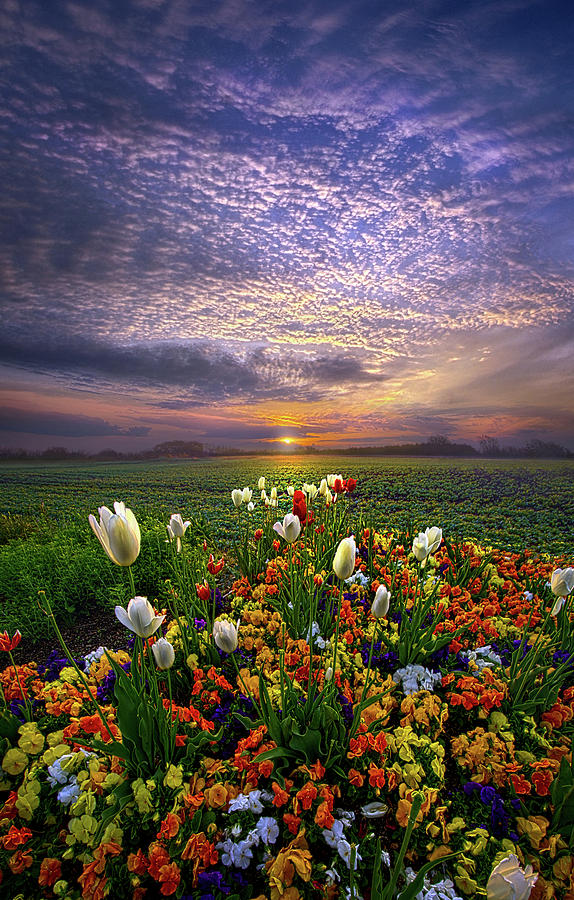The Sun Just Touched the Morning Photograph by Phil Koch