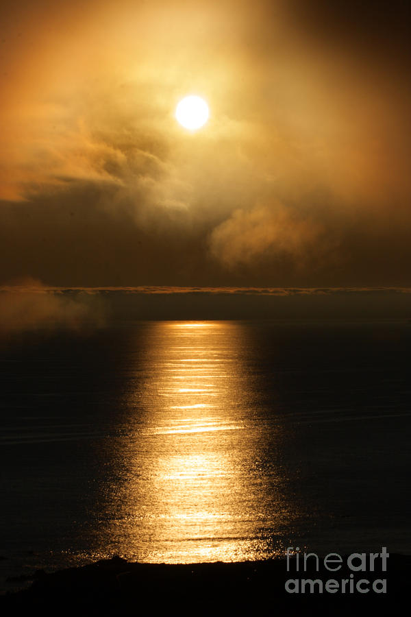 Nature Photograph - The Sun Pierces Through the Coastal Northern California Fog by Wernher Krutein