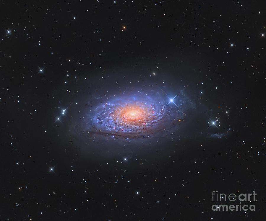 The Sunflower Galaxy, Messier 63 Photograph