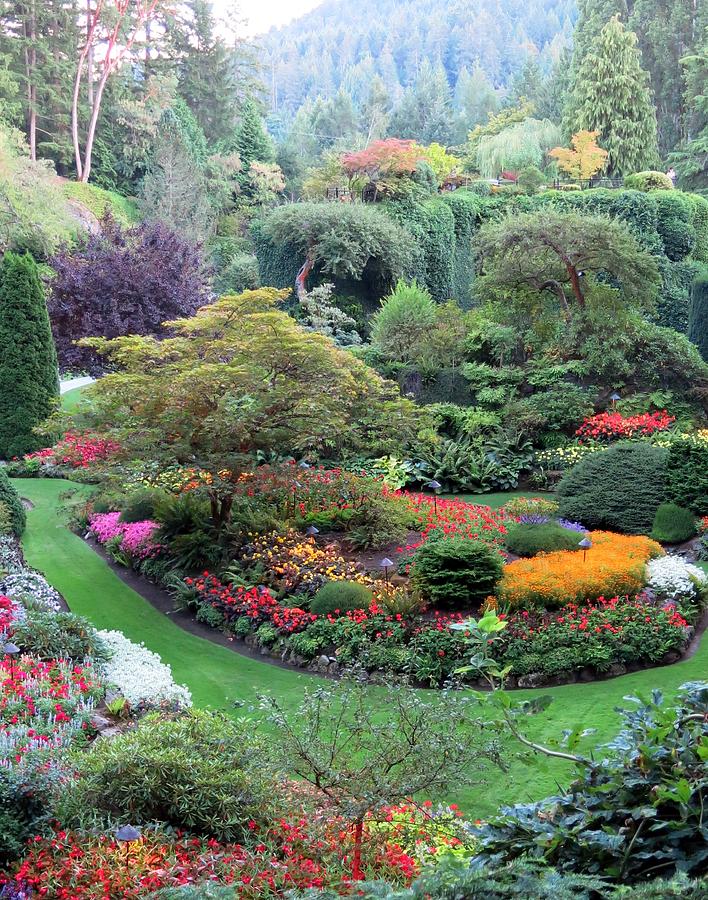 The Sunken Garden Photograph by Betty Buller Whitehead - Fine Art America