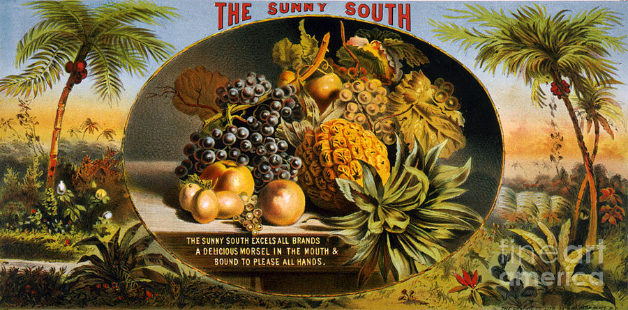 The Sunny South Vintage Fruit Label Mixed Media by Edward Fielding