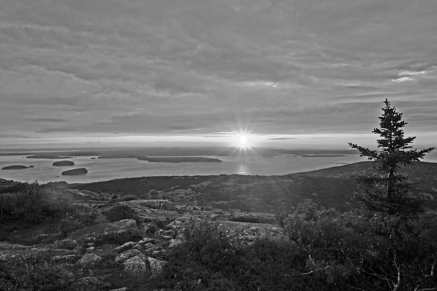 The sunrise from Cadillac Mountain in Acadia National Park Black and White Photograph by Toby McGuire