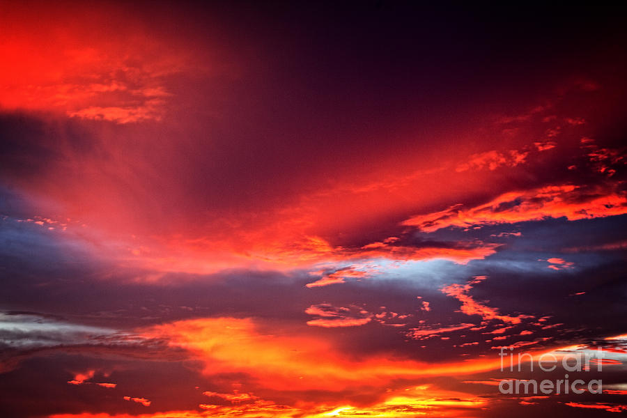 The Sunset Palette  Photograph by Bob Hislop