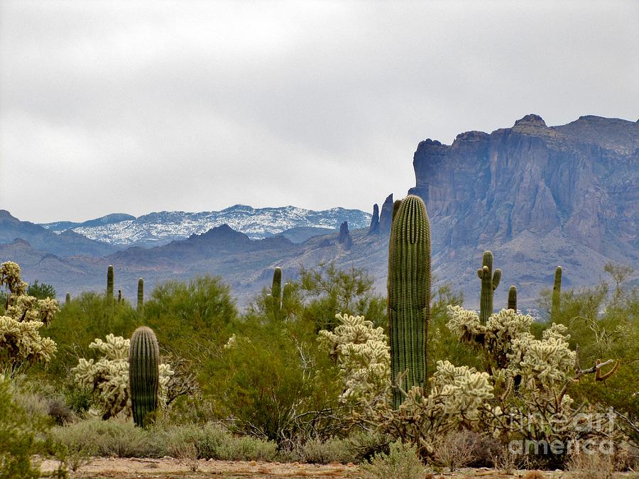 The Superstitions  Landscape Photograph by Marilyn Smith