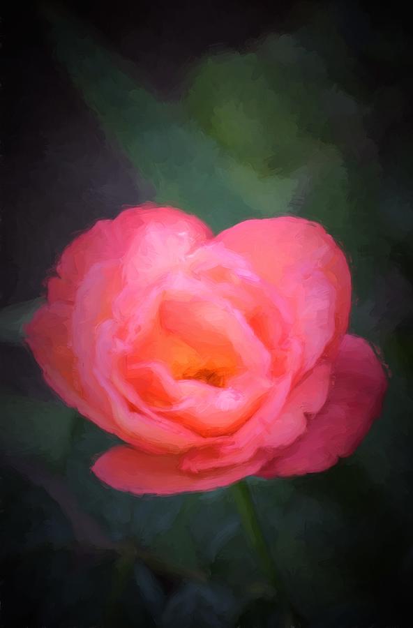 Flower Photograph - The Survivor by Pamela Cooper