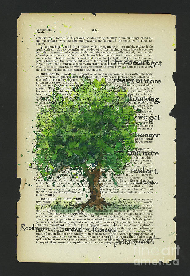 Hear the story of the 9/11 Survivor Tree, a symbol of hope and resilience, E-News