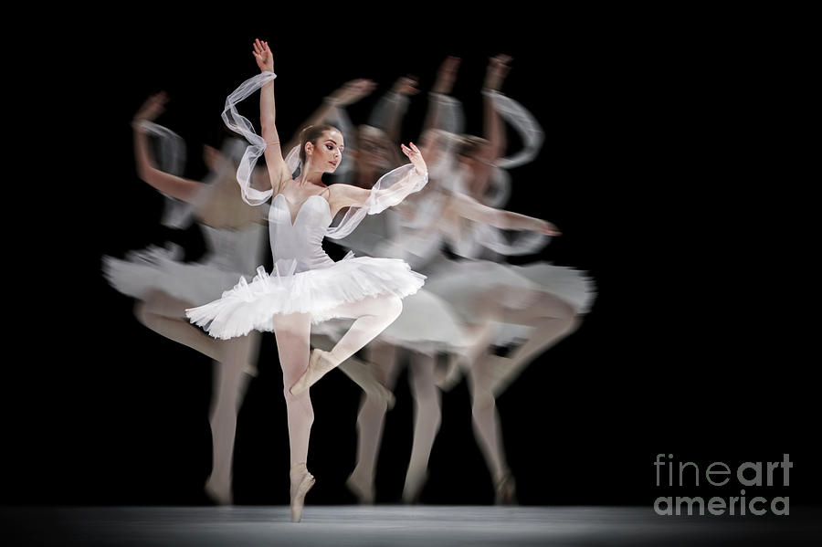 The Swan Ballet dancer Photograph by Dimitar Hristov