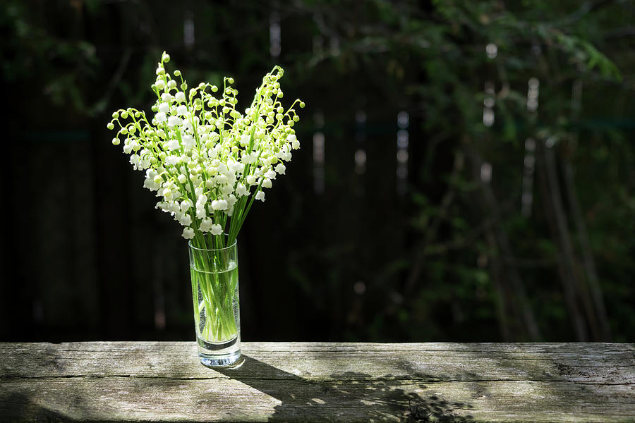 The Sweet Scent of Spring - A Tiny Lily-of-the-valley Bouquet Perfuming the Air Photograph by Georgia Mizuleva