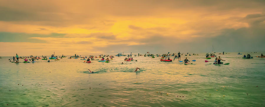 The Swim back to shore by Michael Lees The Swim back to shore by Michael Lees