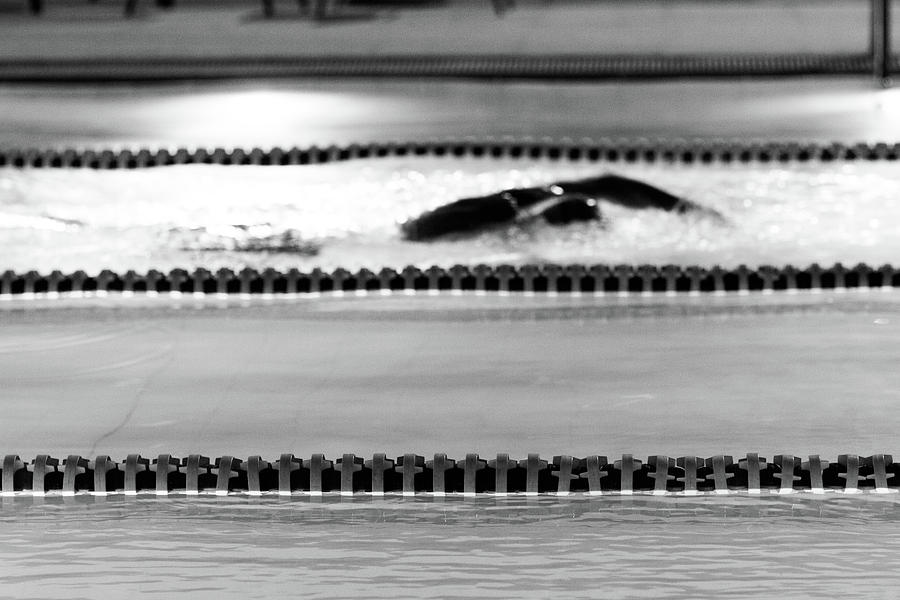The Swim Photograph by SR Green