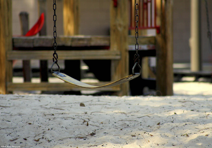 The Swing Photograph by Debra Forand