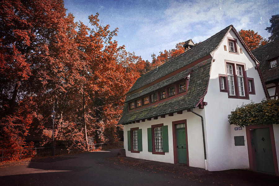 The Swiss House Photograph by Carol Japp