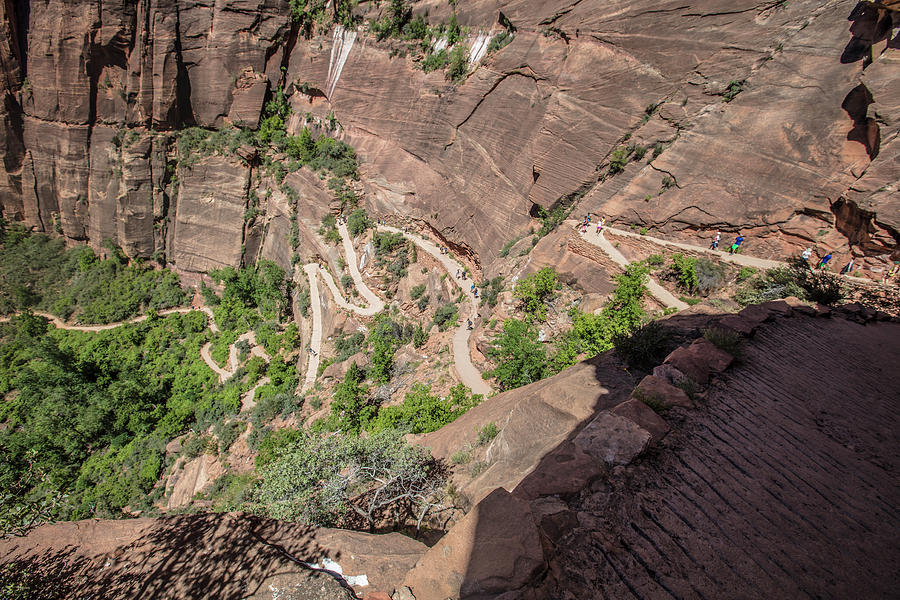 The switchbacks at Angels Landing Photograph by John McGraw