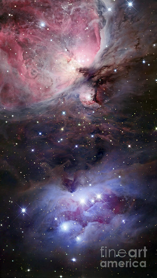 Space Photograph - The Sword Of Orion by Robert Gendler