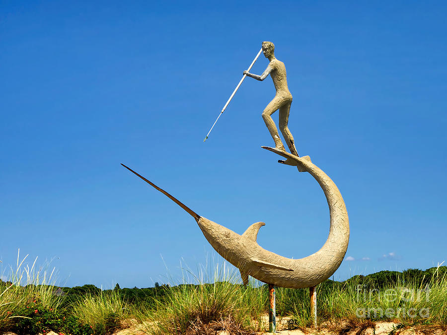 Swordfish Photograph - The Swordfish Harpooner by Mark Miller