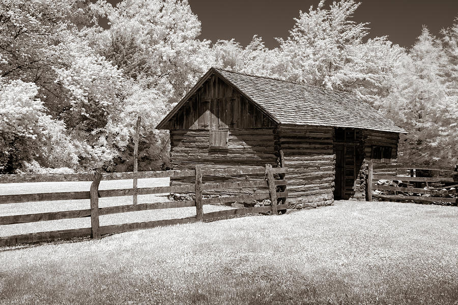 The Tack Shed Photograph by James Barber