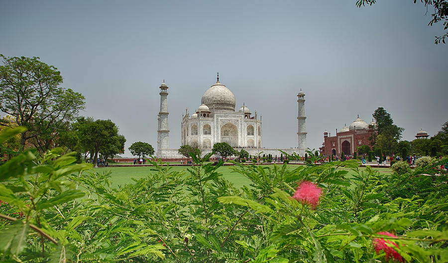 The Taj Mahal Photograph by Chris Cousins