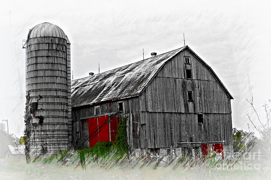 Barn Photograph - The Tall Old Barn by Vickie Emms