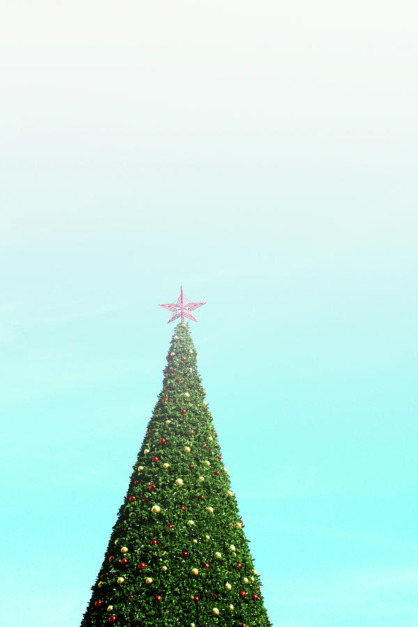 Christmas Photograph - The Tallest Christmas Tee- Photograph by Linda Woods by Linda Woods