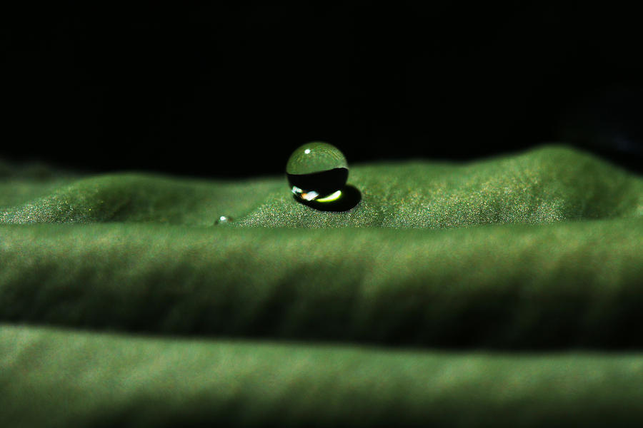 The Tao Of Raindrop Photograph by Connie Handscomb