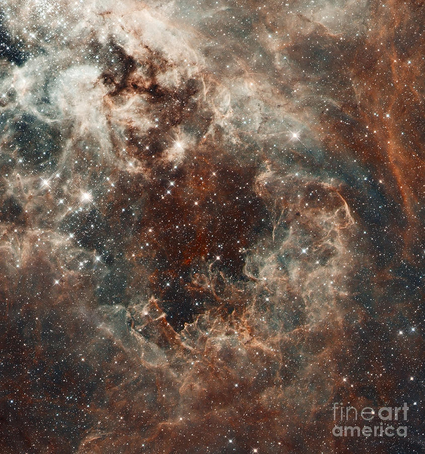 Space Photograph - The Tarantula Nebula in the Large Magellanic Cloud by Vintage Collectables