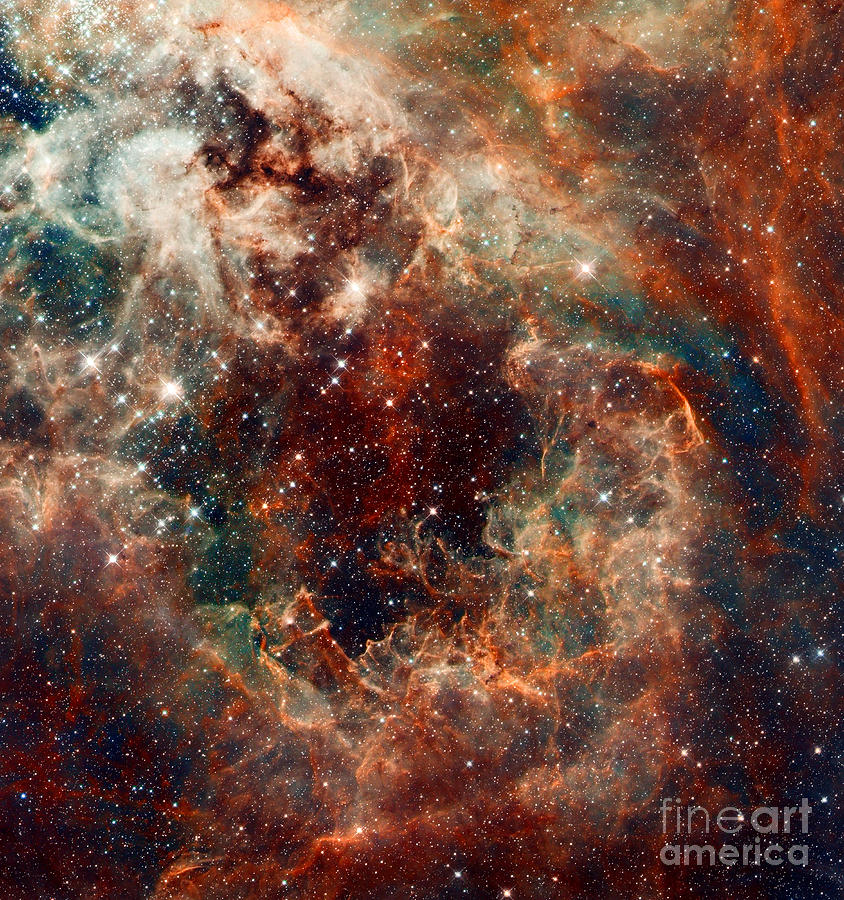 The Tarantula Nebula Photograph by Nicholas Burningham