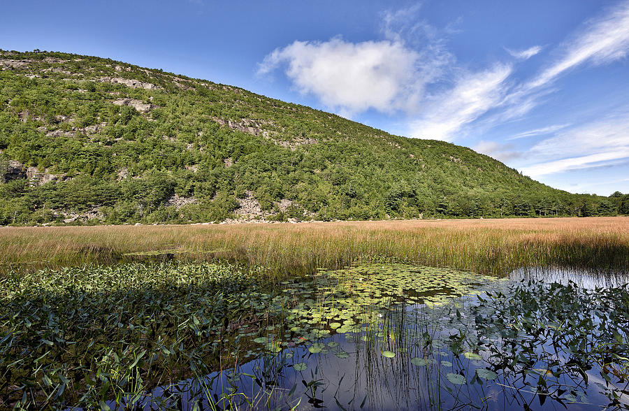 The Tarn and Dorr Mountain - Acadia National Park  Photograph by Brendan Reals