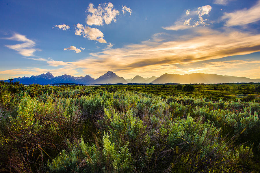 The Teton Range Photograph by Adam Mateo Fierro