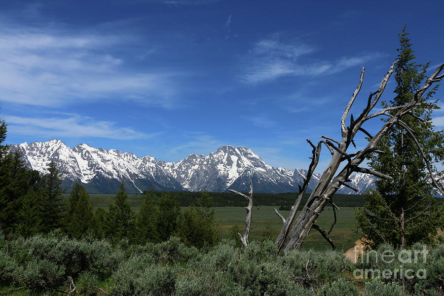 The Tetons At  Snake River Overlook Photograph by Christiane Schulze Art And Photography