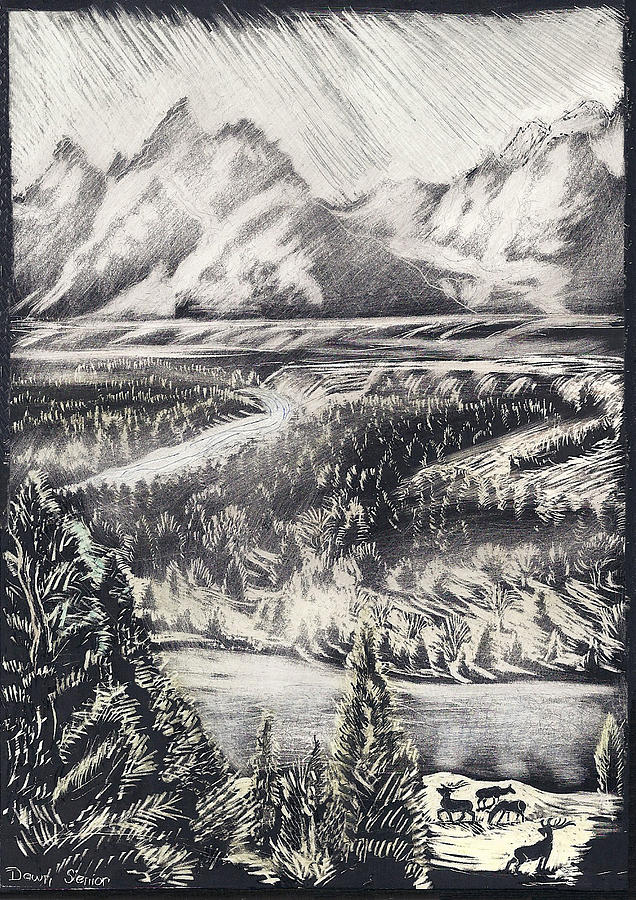 Nature Drawing - The Tetons by Dawn Senior-Trask