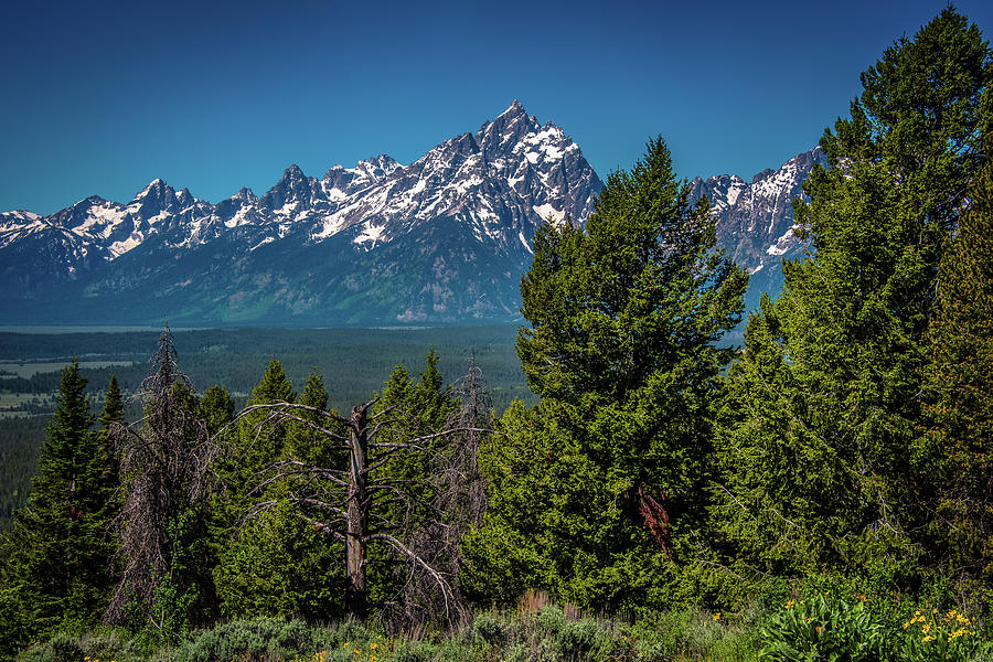The Tetons From Signal Mountain Photograph by Yeates Photography