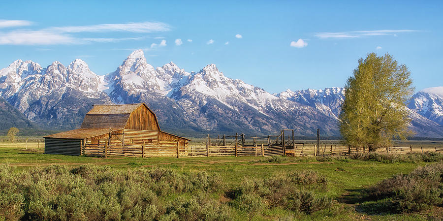 The Tetons by Georgia Wilson The Tetons by Georgia Wilson