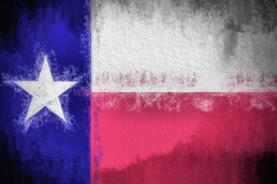 The Texas Flag Photograph by JC Findley