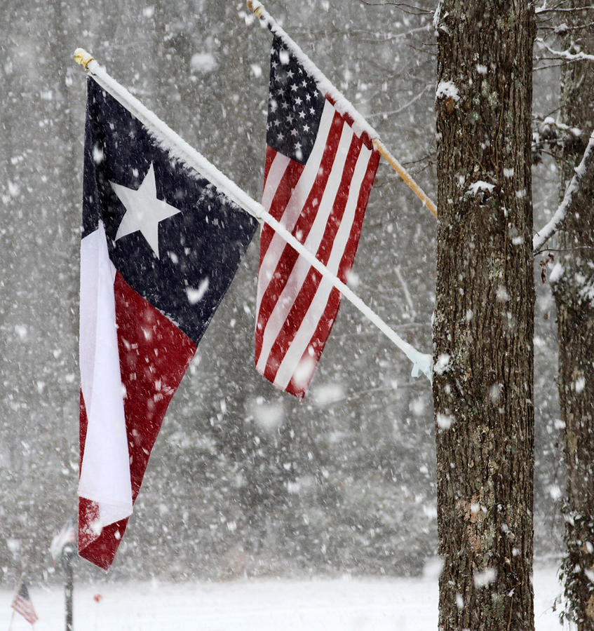Texas Flag Photograph - The Texas Lone Star flies in the Flurries by Laurie Pace