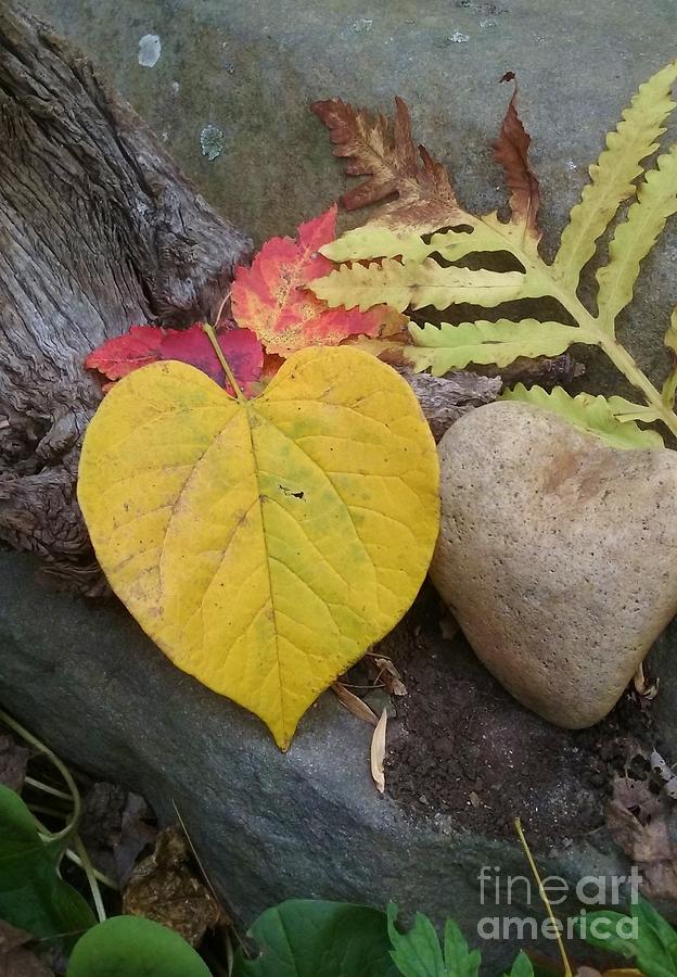 The Heart and Love for Autumn Photograph by Anne Ditmars