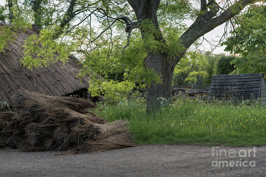 The Thatched Roof, Great Dixter Photograph by Perry Rodriguez