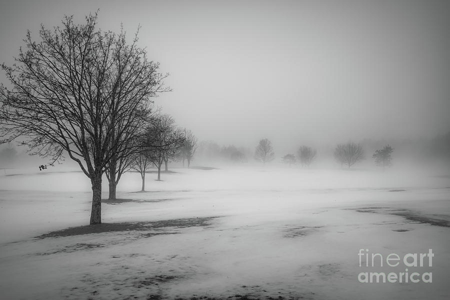 Winter Landscape Photograph - The Thaw by Diana Nault