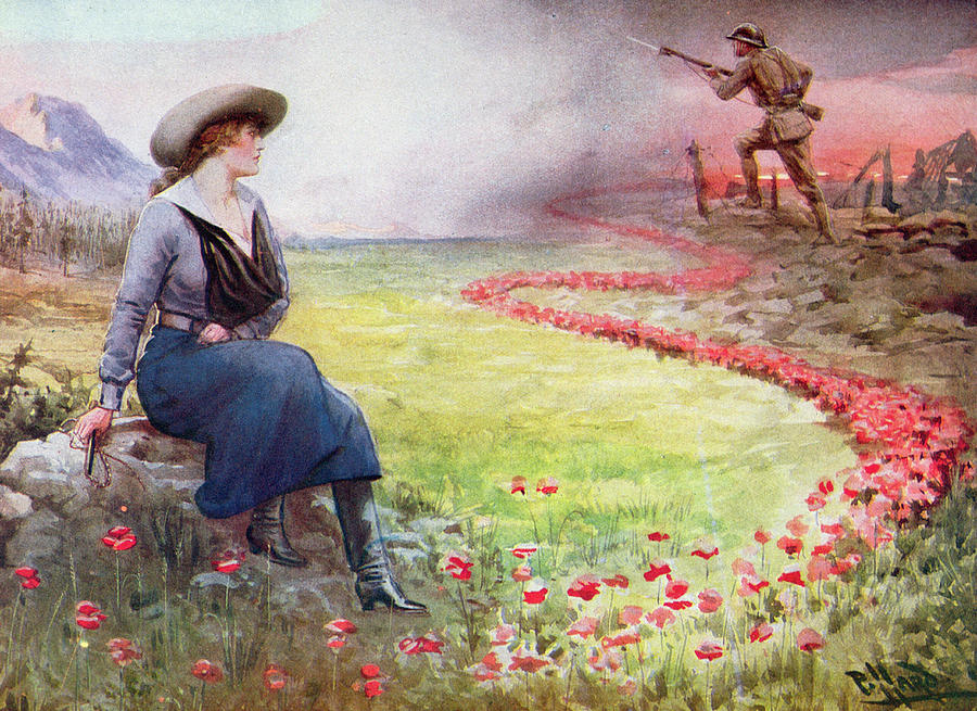 bekymring væske rotation The Thin Red Line Painting by Harold Hume Piffard - Fine Art America