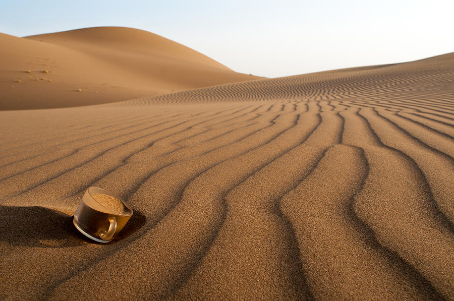 Desert Photograph - The Thirsty Desert. by Soheil Soheily