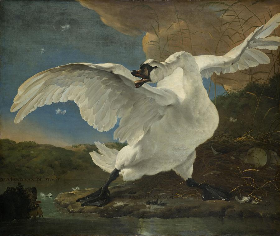 The Threatened Swan, 1650 Painting by Vincent Monozlay