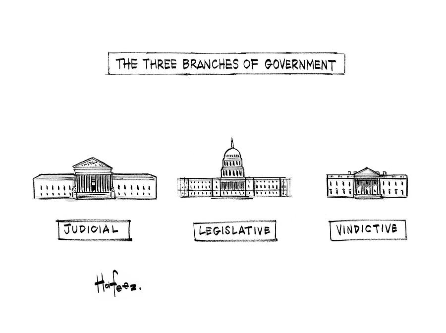 The Three Branches of Government Drawing by Kaamran Hafeez