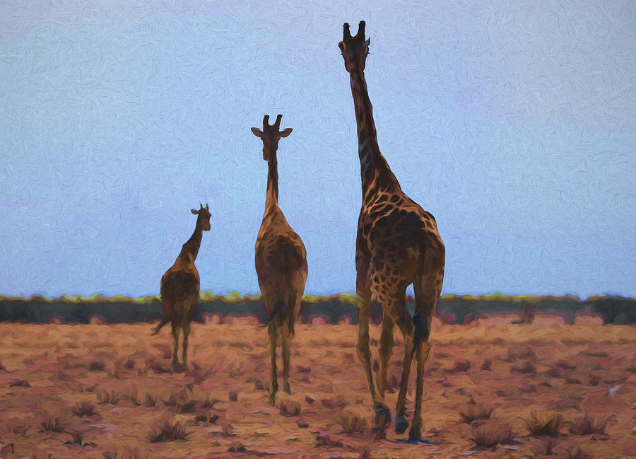 The Three Giraffes Digital Art by Ernest Echols