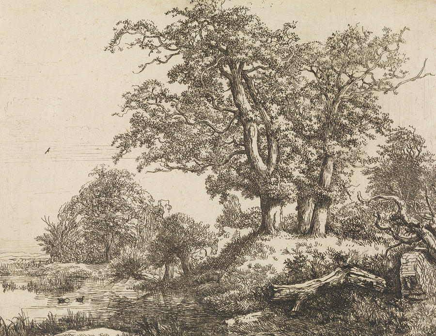 The Three Oaks Relief by Jacob van Ruisdael