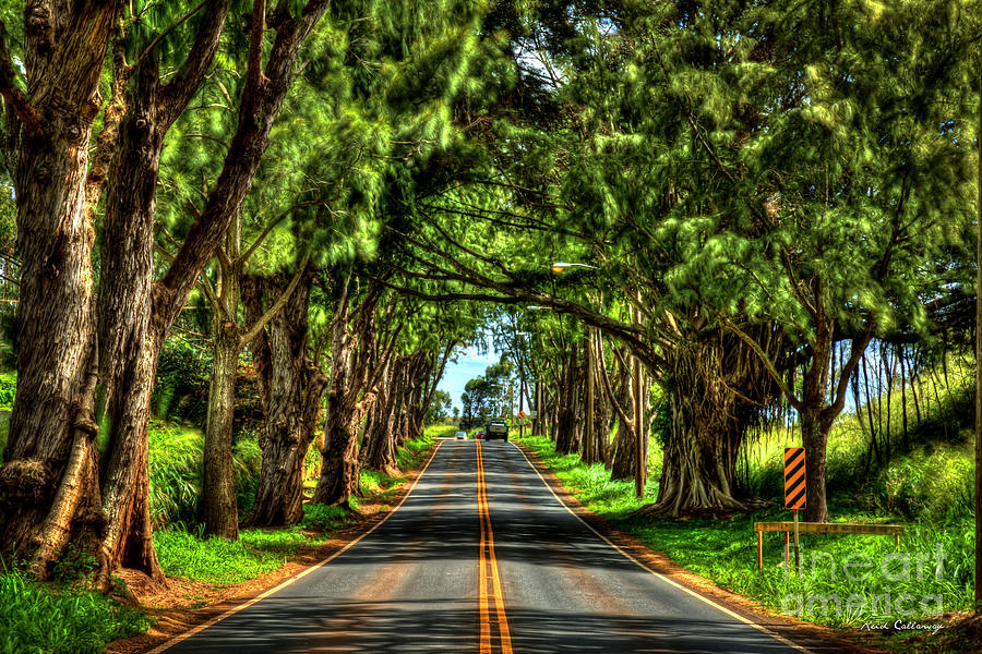 The Thruway Kaukonahua Road Oahu Hawaii Art Photograph By Reid Callaway 