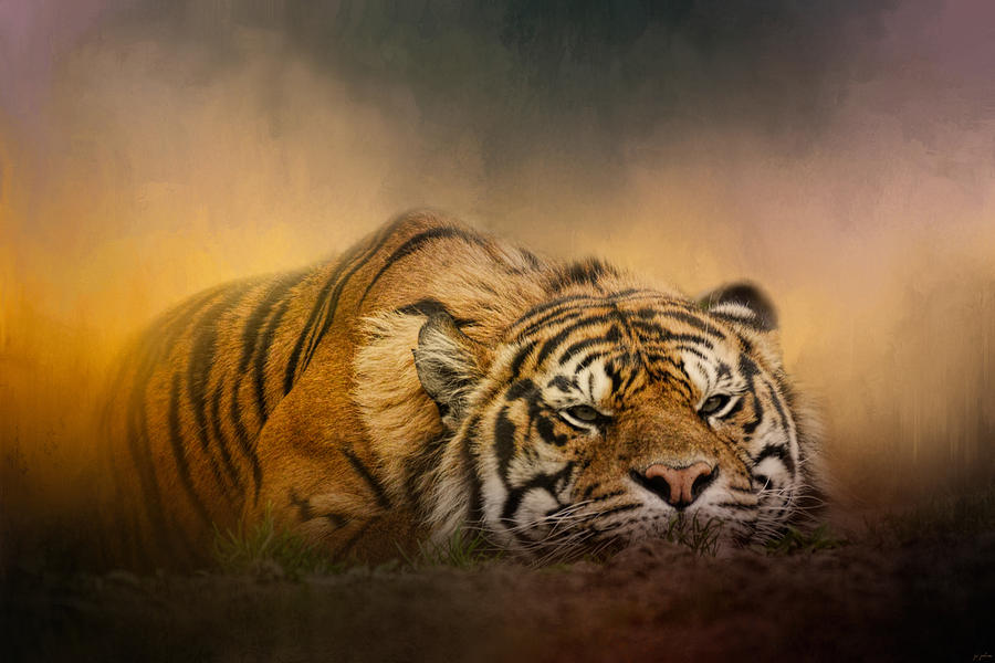 Tiger Photograph - The Tiger Awakens by Jai Johnson