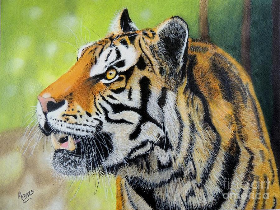 The Tiger Painting by Penny Medders