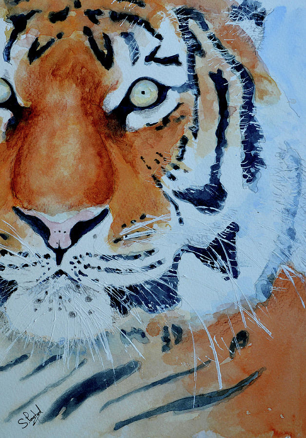 The Tiger Painting by Steven Ponsford