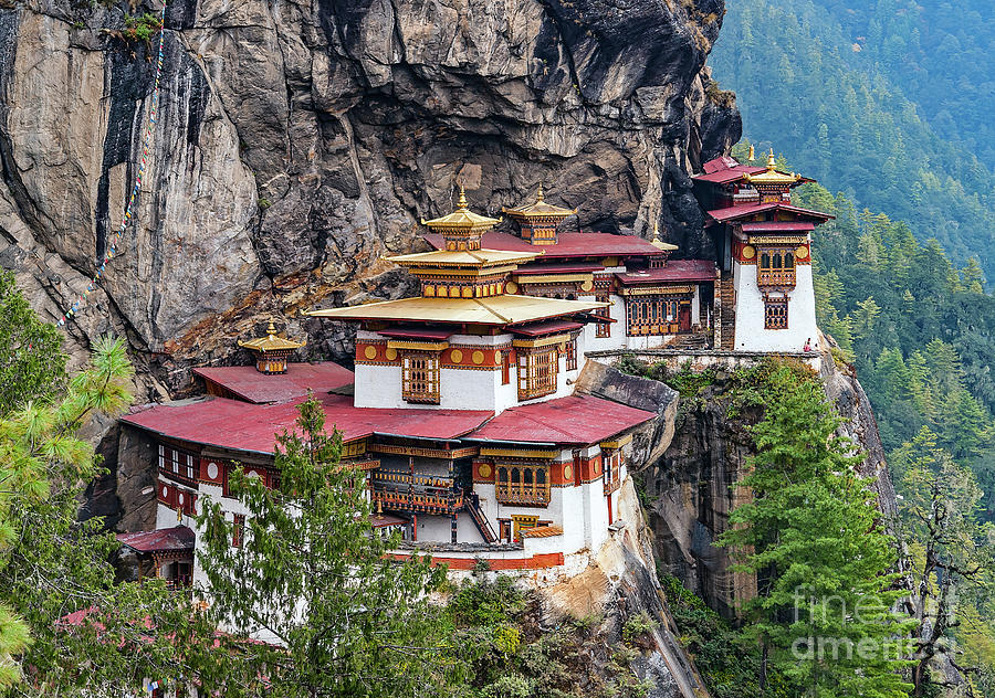 Buddha Photograph - The Tigers Nest Monastery by Ulysse Pixel