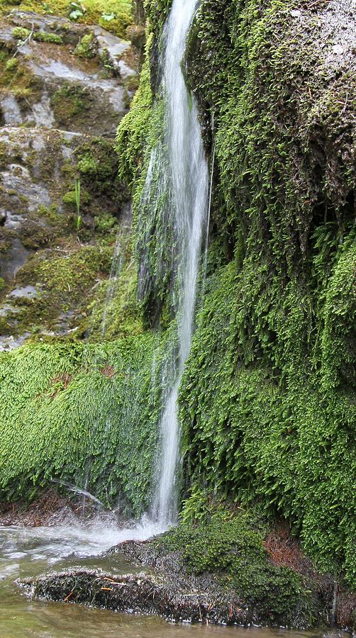 The Tiny Falls Photograph by William Gilson | Fine Art America